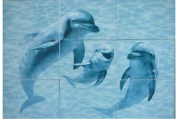 Тарҳи ҳаммом делфин