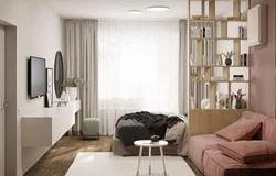 Interior of a room when the living room is also a bedroom