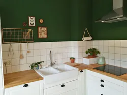 Кухня Будбин Зеленая В Интерьере