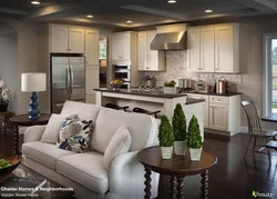 Kitchen design ideas living room in the house