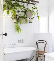 Bath interior decoration