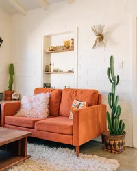 Terracotta sofa in the living room photo