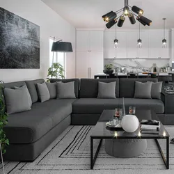 Dark Gray Sofa In The Kitchen Interior