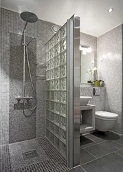 Bathroom interiors with shower without bathtub