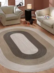 Oval carpet in the living room interior