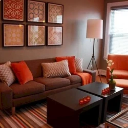Terracotta-Colored Living Room Photo
