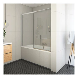 Photo Of Glass Curtains For Baths