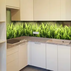 Wall Panel For The Entire Kitchen Wall Photo