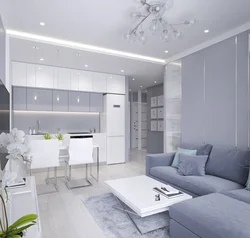 Kitchen living room in light gray tones design