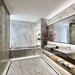 White porcelain stoneware bathtub design