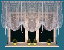 Curtains For The Kitchen Photo Short Made Of Tulle Photo