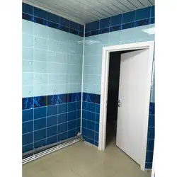 Панелҳои PVC барои ороиши дохили ванна акс