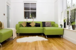 Green sofa in the interior of the kitchen living room