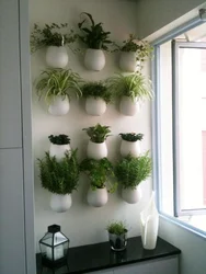 Plants In The Hallway Photo
