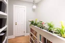 Koridordakı bitkilər fotoşəkili