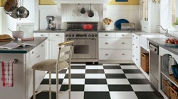 Kitchen Design With Gray Linoleum