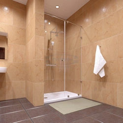 Bath Shower Partitions Photo