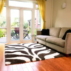 Carpet With A Corner Sofa In The Living Room Interior Photo
