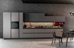 Kitchen interior with matte facades