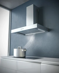 What Types Of Kitchen Hoods Are There? Photo