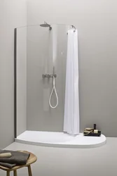 Bathtub Design With Shower Tray And Curtain
