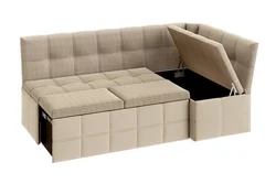 Corner sofa with sleeping place in the interior
