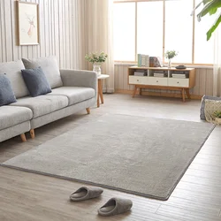 Modern carpets for the living room photo