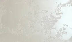 Plaster World Map In The Kitchen Photo