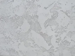 Plaster world map in the kitchen photo