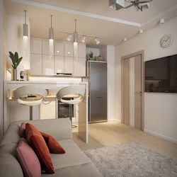 Studio Apartment 18 Sq M Design Photo With Kitchen