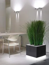Artificial plants in the kitchen interior