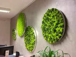 Artificial Plants In The Kitchen Interior