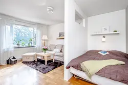 Однокомнатная квартира кровать и диван в одной комнате фото