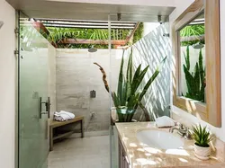 Bathroom Palm Tree Photo