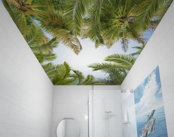 Bathroom Palm Tree Photo