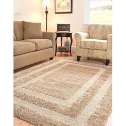 How to choose a carpet for the floor in the living room photo