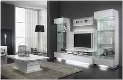 Modern Cabinets For Dishes In The Living Room Photo