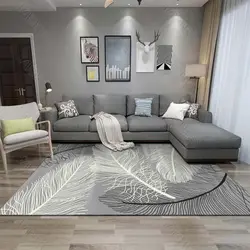 Gray carpets in the living room interior photo