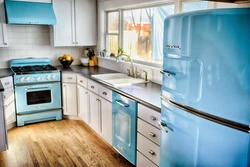 Цвет холодильника в интерьере кухни фото