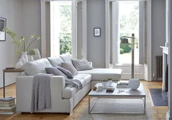 Sofa color in a bright living room interior