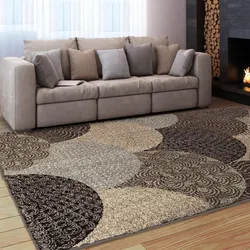 Carpet In The Living Room In A Modern Style Photo