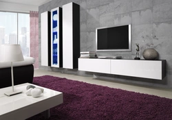 Wall cabinets for the living room modern photos