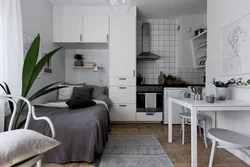 Дызайн маленькай кухні са спальным месцам