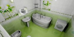 Design of a small bathroom with toilet panels