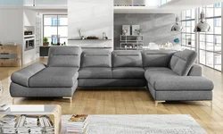 Beautiful Sofas For The Living Room With A Sleeping Place Photo