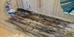 Wooden Houses Bathroom Floor Photo