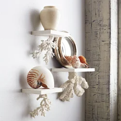 Seashells in the kitchen interior photo
