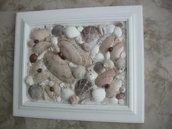 Seashells in the kitchen interior photo