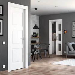 Kitchen Interior Gray Doors