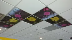 Ceiling tiles in the bathroom photo